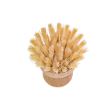 Champignonborstel